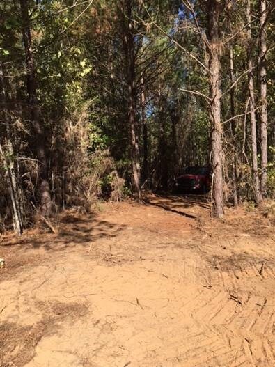 336 Gumm Cemetery Rd NE, Milledgeville, GA 31061 - photo 3