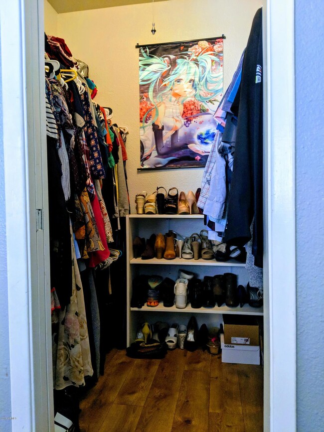 Master Bed Walk-in Closet