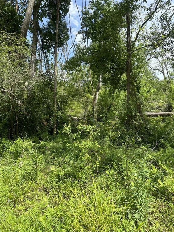 Lot 59 Fletchers Isle Rd, Ponchatoula, LA 70454 - photo 6