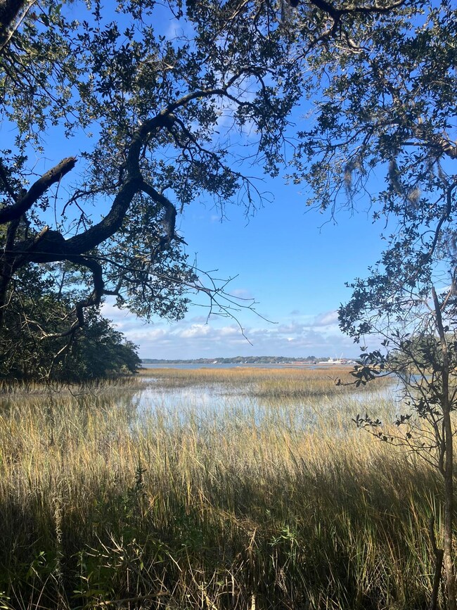 Lot 35 Josie Ridge Rd, Wadmalaw Island, SC 29487 - photo 4