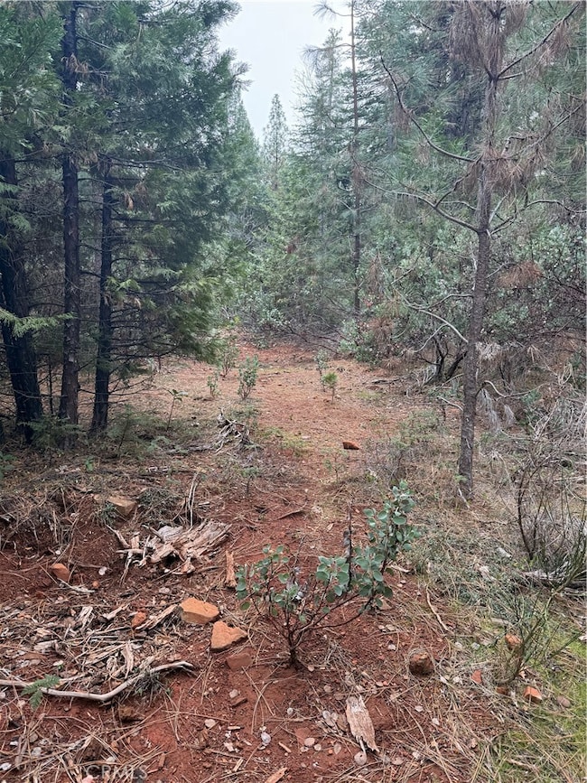 1 Old Forbestown Rd, Forbestown, CA 95941 - photo 6