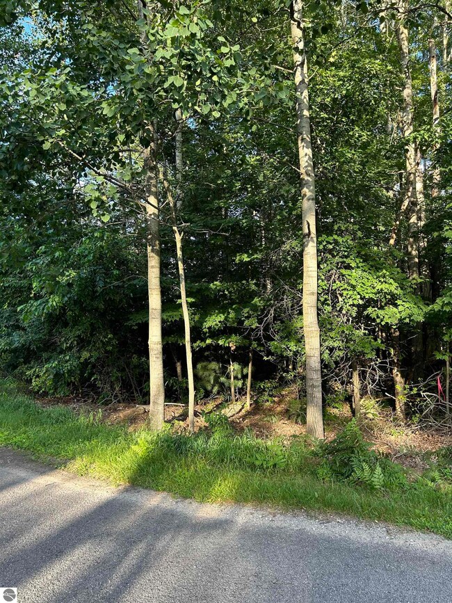 0 Whitetail Ct unit 165 1924976, West Branch, MI 48661 - photo 3