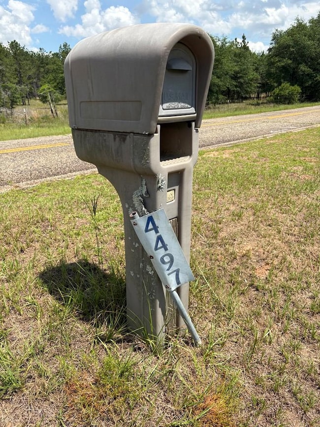 4497 Simmons Dairy Rd, Blakely, GA 39823 - photo 6