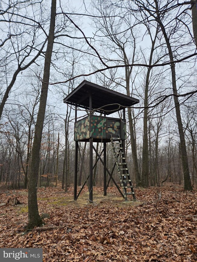 953 Apple Way, Saint Thomas, PA 17252 - photo 2