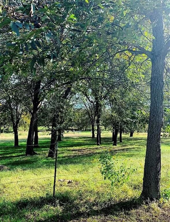 124 County Road 423, Comanche, TX 76442 - photo 6