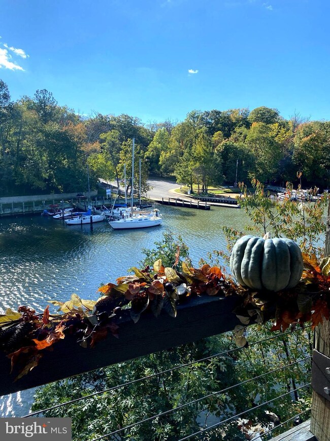 13 Spa Creek Landing unit 13A2, Annapolis, MD 21403 - photo 2