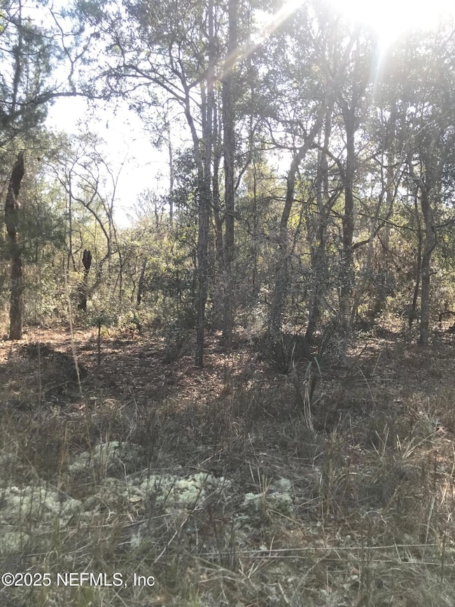 404 Mourning Dove Rd, Satsuma, FL 32189 - photo 4