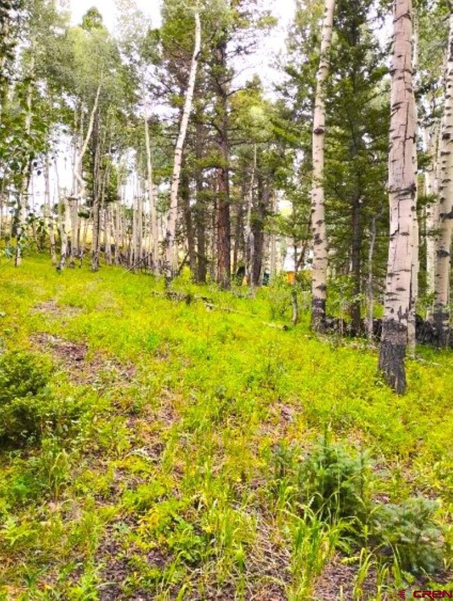 770 Ponderosa Way, Cimarron, CO 81220 - photo 5