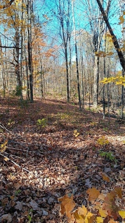 112 Fenton Rd, Monson, MA 01057 - photo 5