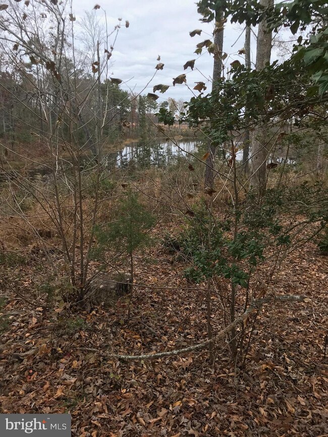 6120 Mt Airy Dr, Ruther Glen, VA 22546 - photo 4