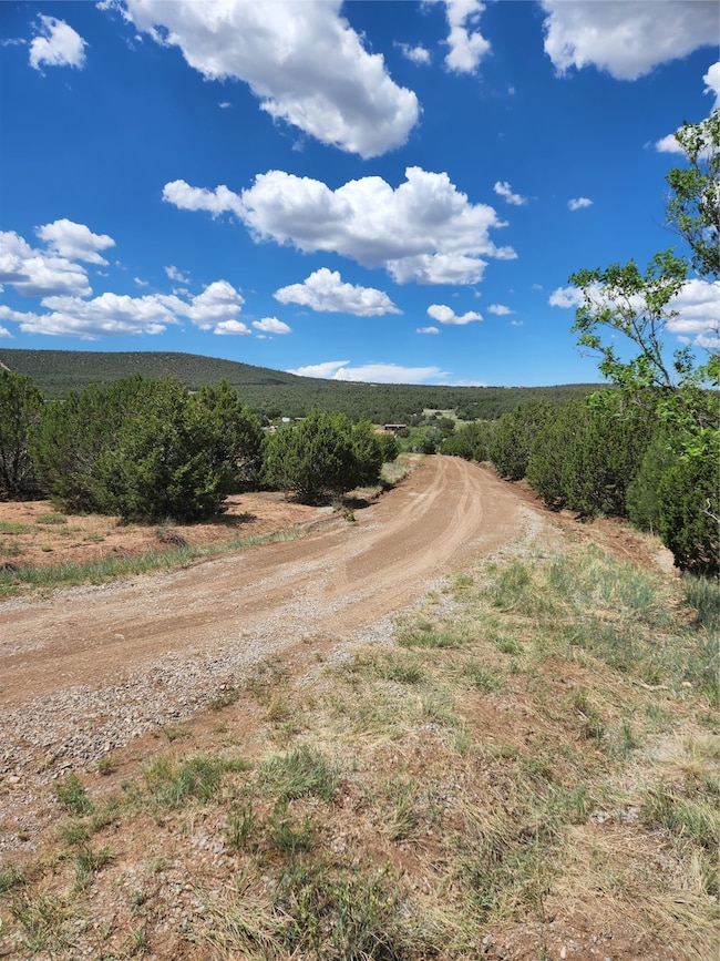 XXXX Brannon Loop, Tijeras, NM 87059 - photo 2