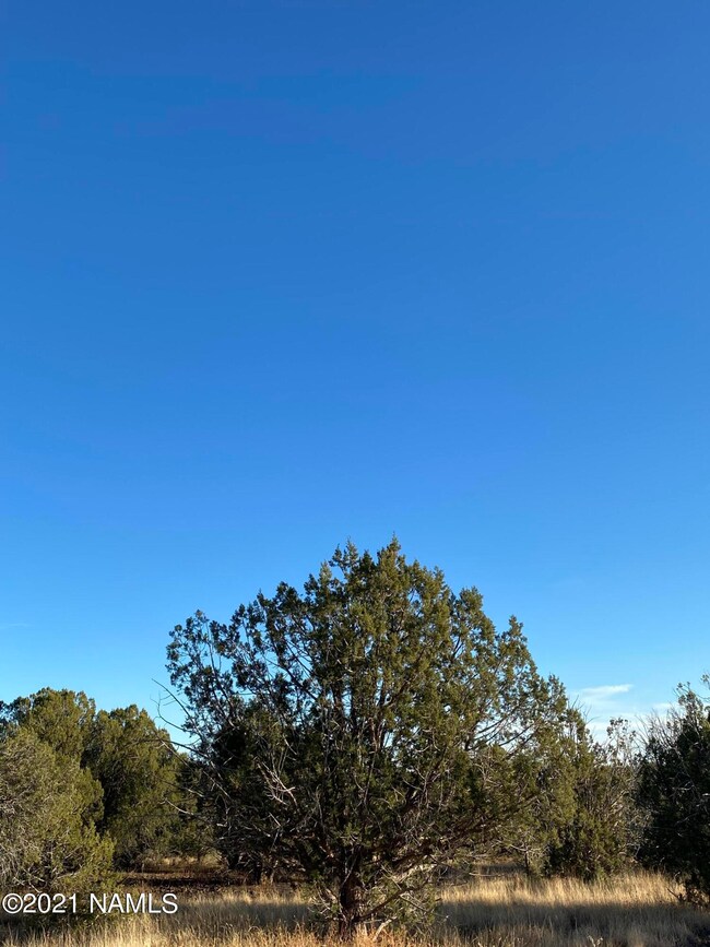 1025 Joseph Dr unit 158, Ash Fork, AZ 86320 - photo 3