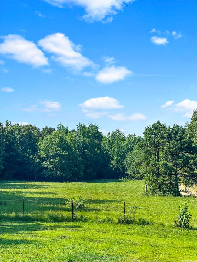 2684 Greene 138 Rd unit 2685 Greene 138 Road, Paragould, AR 72450 - photo 2