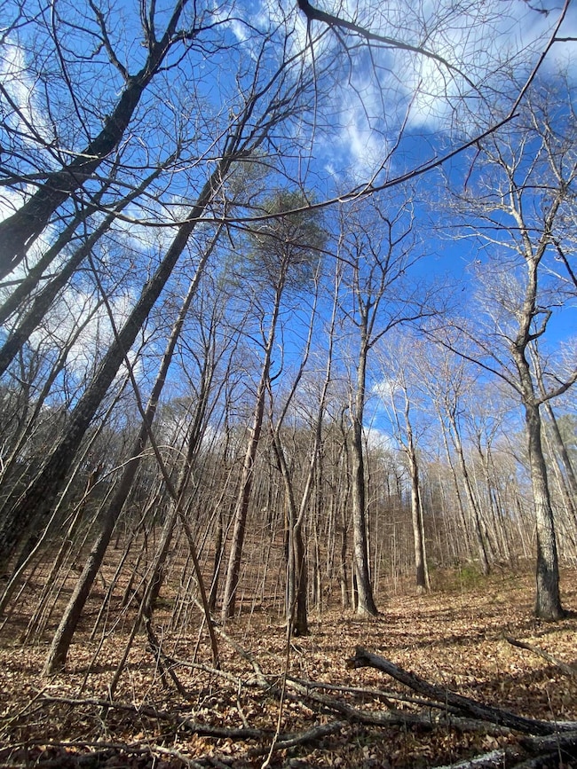 bluff view 7