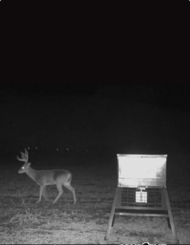 Tract 1, TBD Fm 2114, Abbott, TX 76621 - photo 7