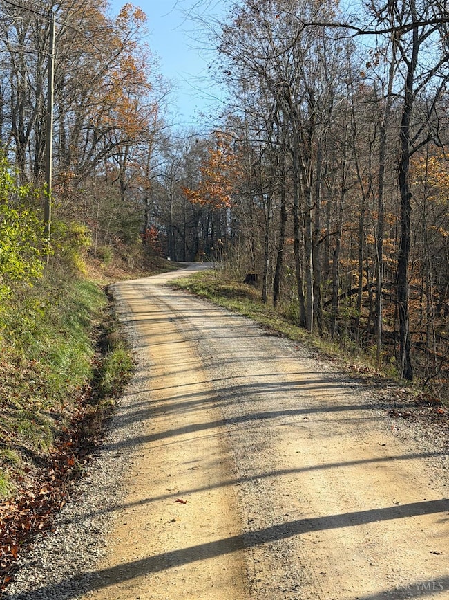 0 Ohio 775, Willow Wood, OH 45696 - photo 2