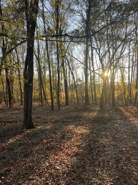 0 Marta St unit 25000789, Bamberg, SC 29003 - photo 2