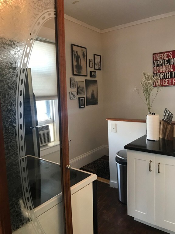 1137 Mass Ave unit 2, Cambridge, MA 02138 - photo 7