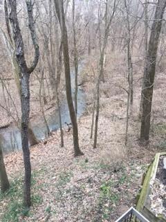 Walden Ravine Views