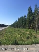 Robinson Loop 2
