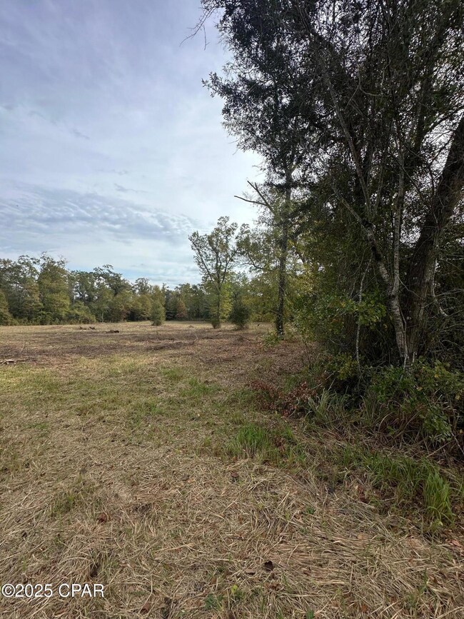 2194 Mohawk Trail, Sneads, FL 32460 - photo 5