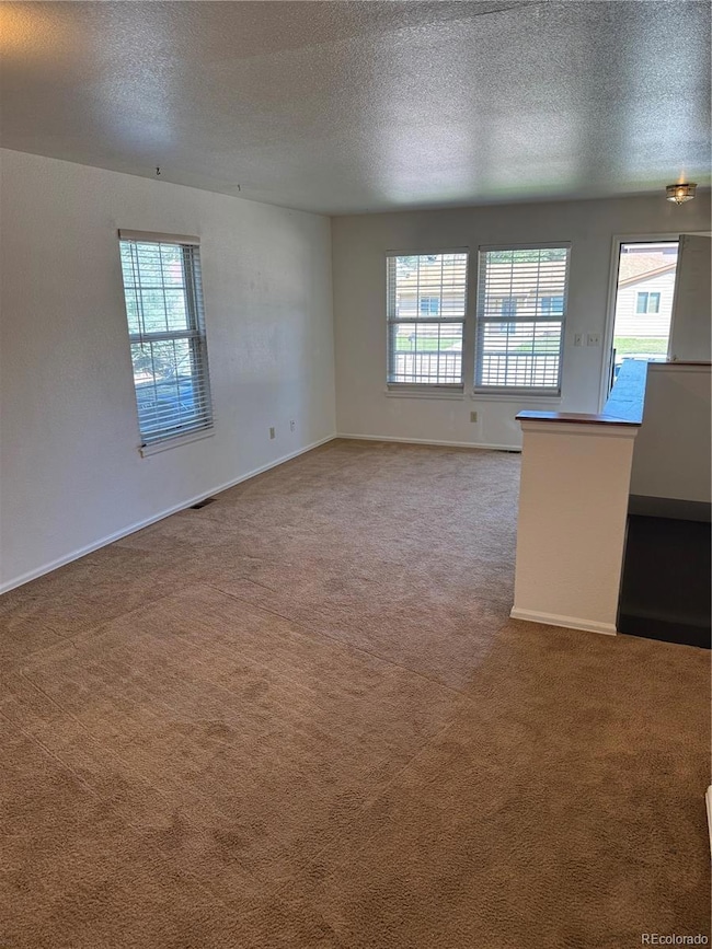 5505 Chad Ct, Colorado Springs, CO 80915 - photo 4