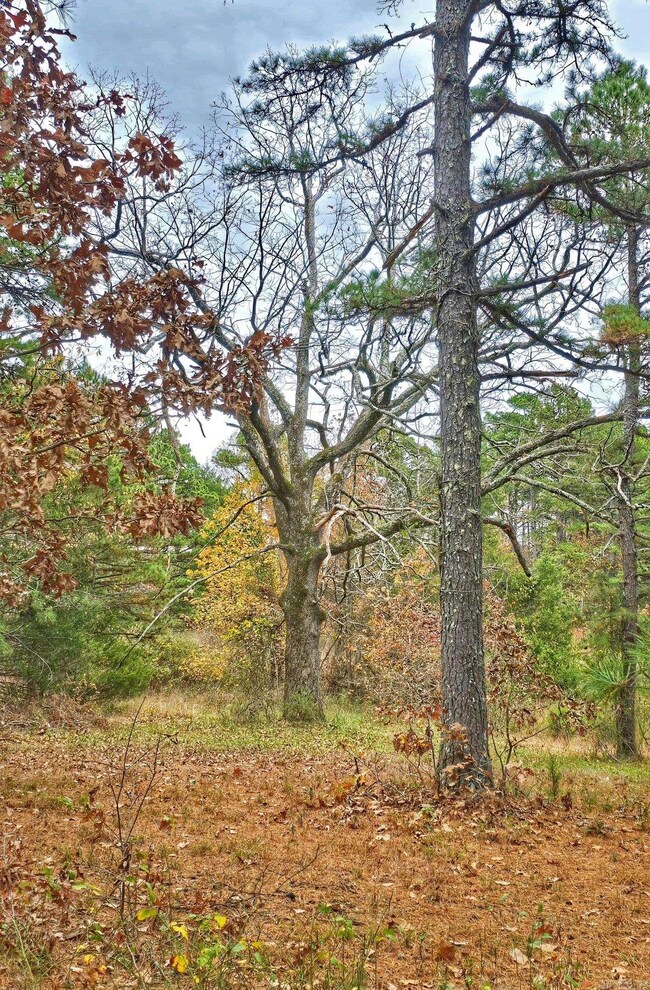 000 Elba Rd, Clinton, AR 72031 - photo 5