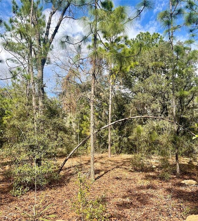 Lot #8 SE 73rd Place, Morriston, FL 32668 - photo 2