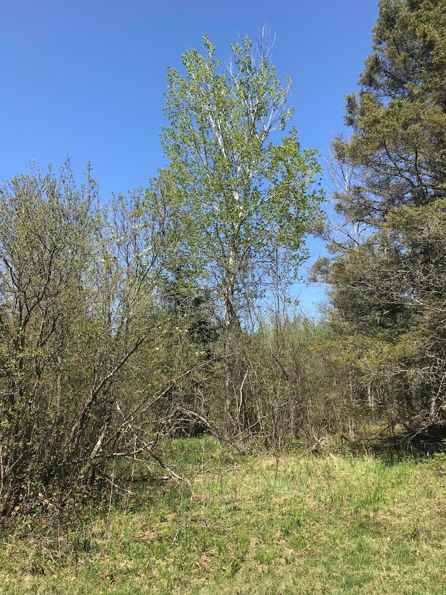 0 E Sand Ridge Rd, Stalwart, MI 49736 - photo 7