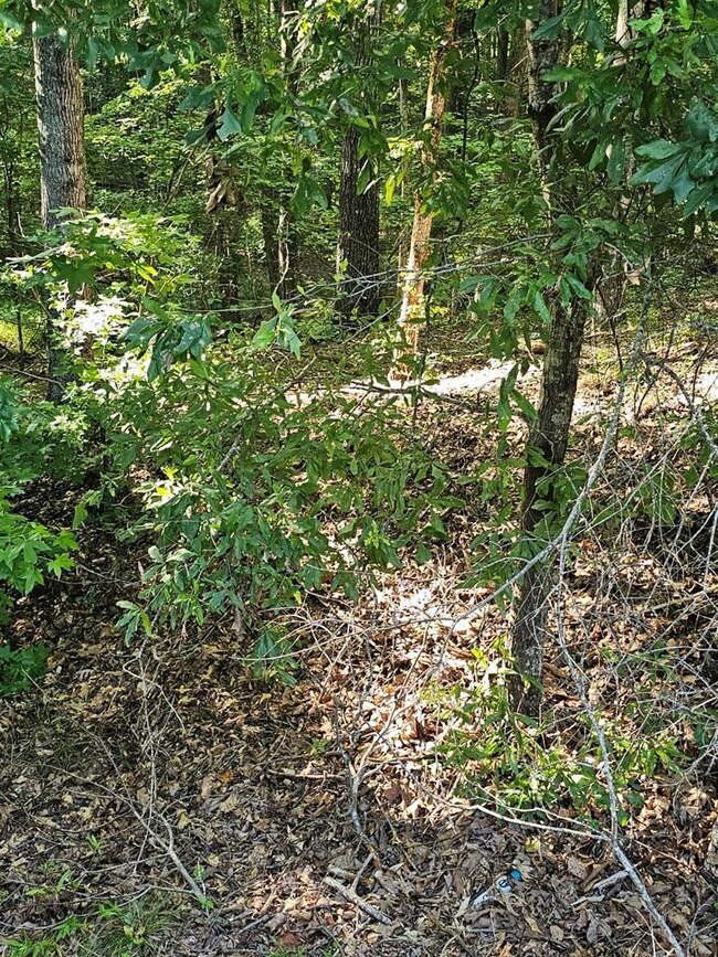 BLOCK 21 LOT 01 Juniper Trail, Waverly Hall, GA 31818 - photo 6