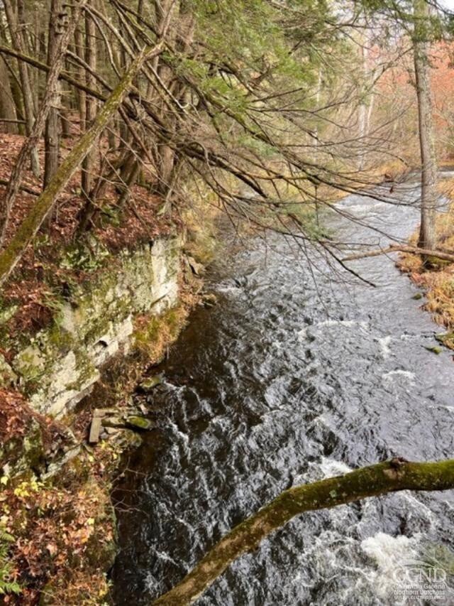 91 Laurie Ln, Cairo, NY 12058 - photo 5