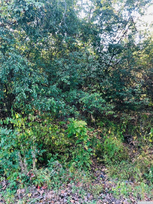 53 - A Sleepy Hollow Rd, Athens, NY 12015 - photo 2