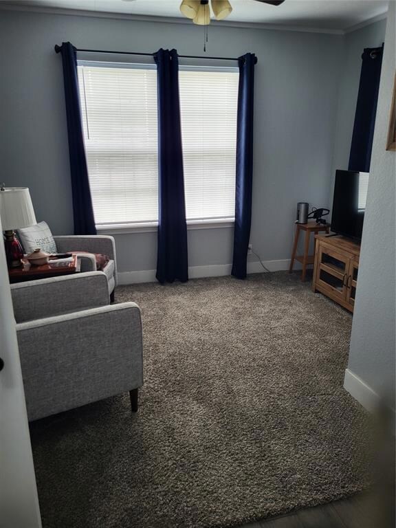 Living area featuring ceiling fan, carpet floors, 