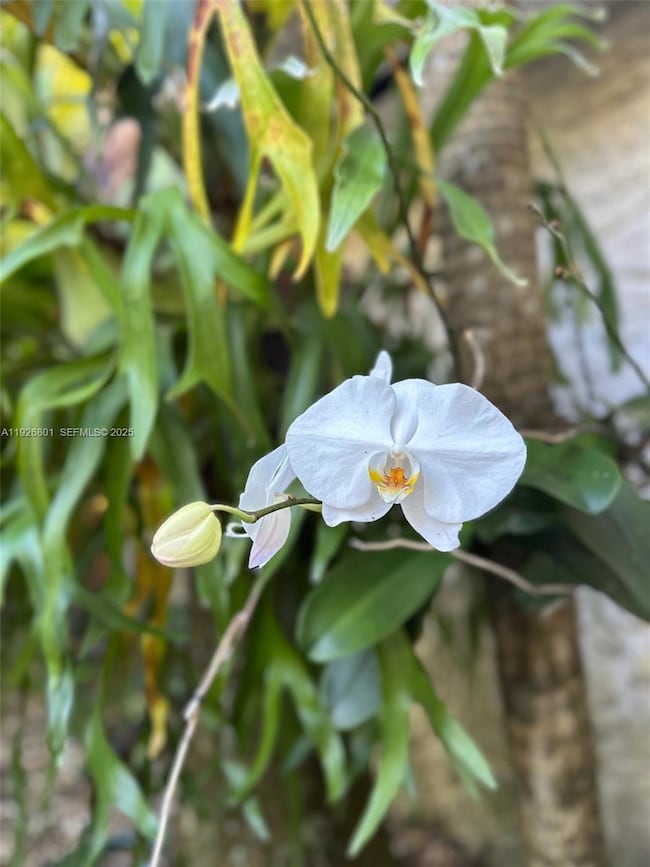 2842 Coconut Ave unit B, Miami, FL 33133 - photo 3