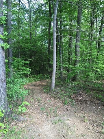 6610 Hook Ct, Spotsylvania, VA 22551 - photo 2