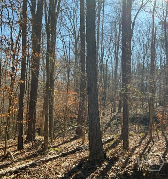 0 Longleaf Dr unit SA339298, Thomson, GA 30824 - photo 2