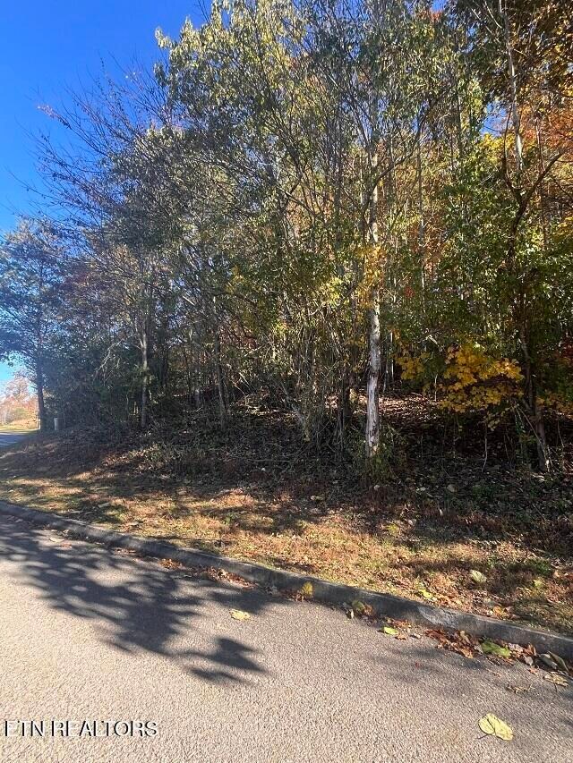 0 Anchor Ln unit 1322373, Andersonville, TN 37705 - photo 7