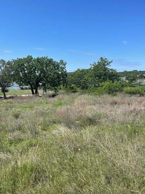 View of local wilderness