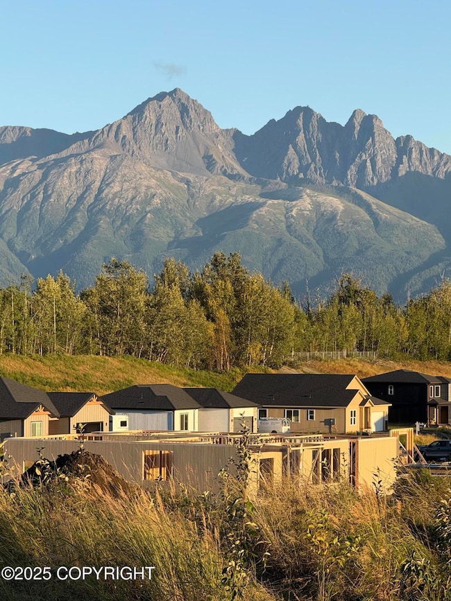 Mountain View backdrop