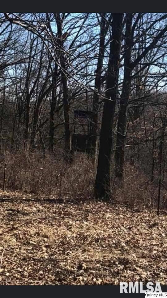 0 Pt Nw (Part of Lot 1) Sec 6 unit CA199119_1, Mt. Sterling, IL 62353 - photo 4