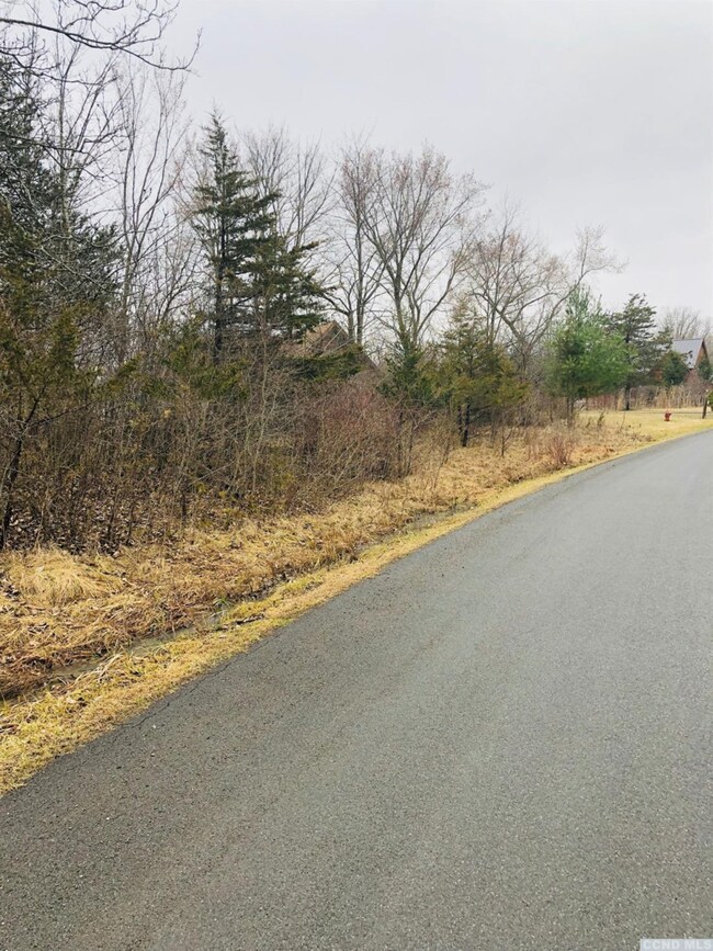 157 Whitney Point, Athens, NY 12015 - photo 5