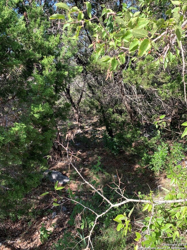 18322 Shadow Canyon Dr, Helotes, TX 78023 - photo 4