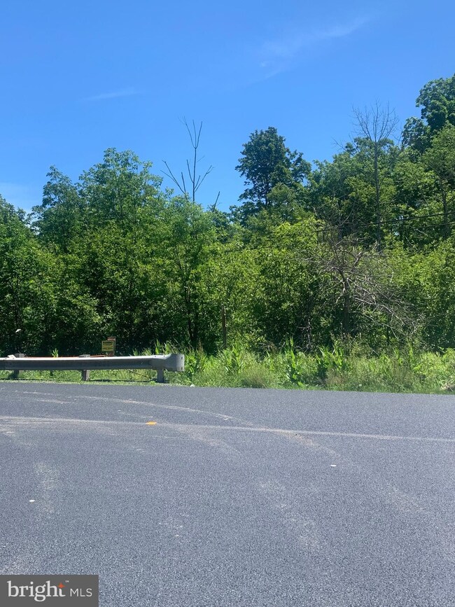 17188 George Washington Hwy, Mount Storm, WV 26739 - photo 6