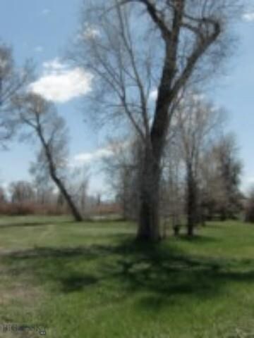 125 Mountain View S, Dillon, MT 59725 - photo 4