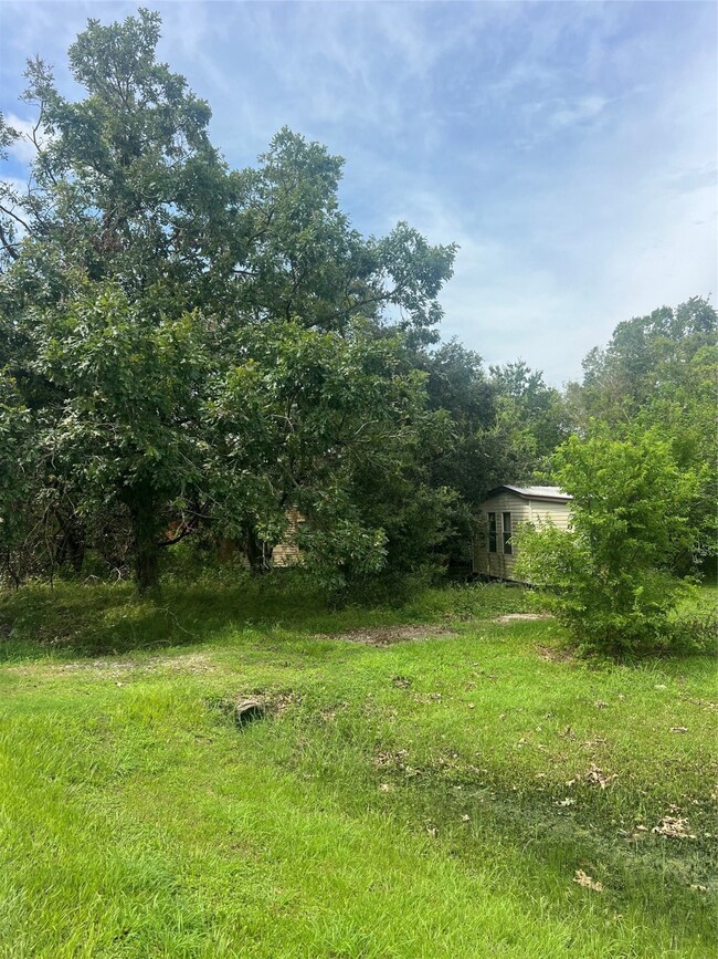 4107 County Road 424, Alvin, TX 77511 - photo 6