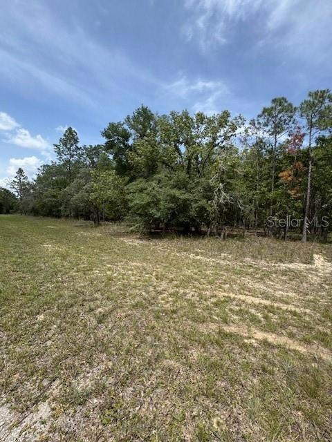 1.18 Acre Corner Lot