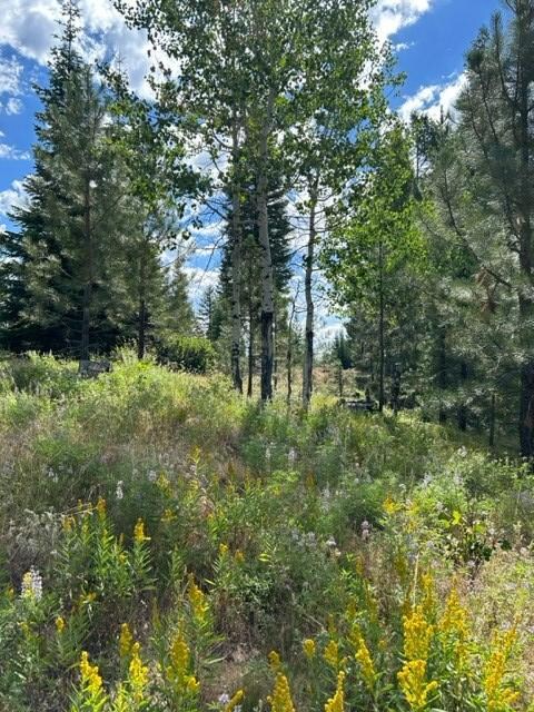 37 Challis Ln unit 13, Cascade, ID 83611 - photo 7