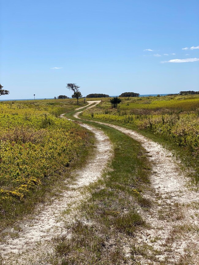 path