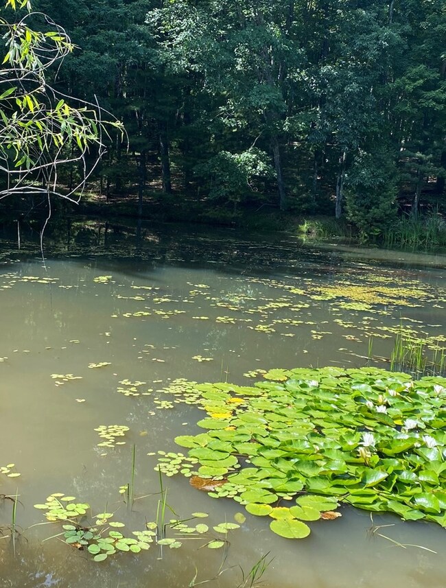 0 Teaberry Ct, Daniels, WV 25832 - photo 3