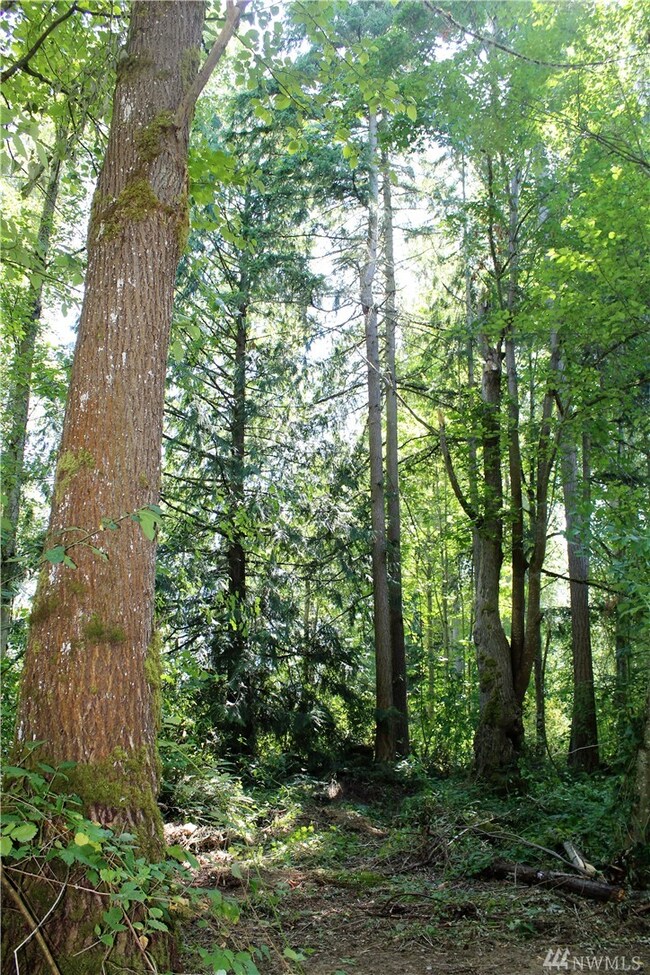 108TH 108th Ave E, Graham, WA 98338 - photo 2